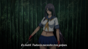 Shin Ikkitousen